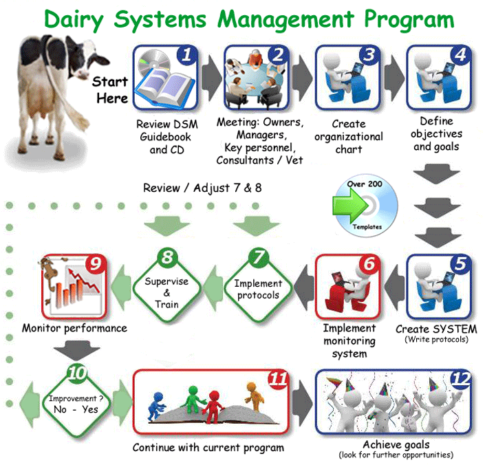 Dairy Systems Management Flowchart